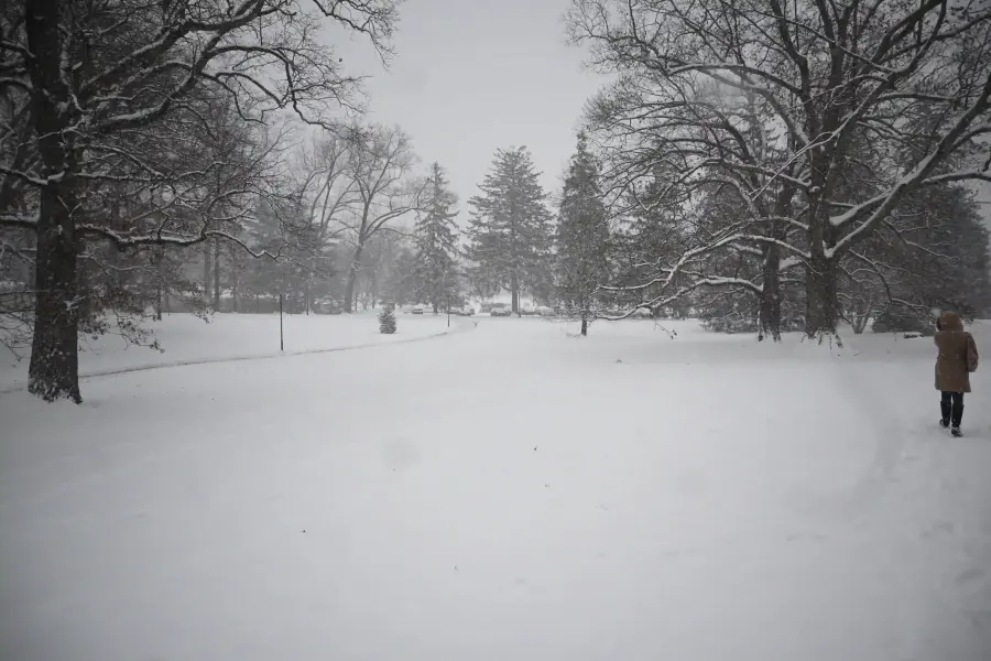 Second Snow Day at Bard — frame 25